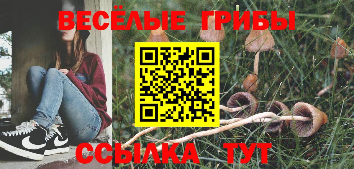 Галлюциногенные грибы мухоморы Вязьма